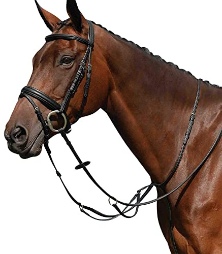 Collegiate Syntovia + Plain Flat Running Martingdale - Schwarz
