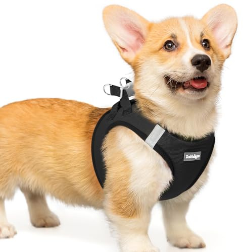 rabbitgoo Arnes Perro Pequeño, Ligero, Suave y Transpirable, Negro L | Arnes Cachorro Antitirones, Ajustable, Fácil de Poner, con Tiras Reflectantes, para Perro Pequeño y Mediano, Pasear y Jugar