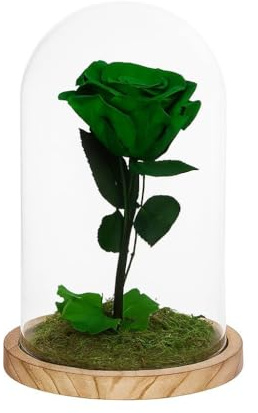 Mundo Eterno | Rosa Preservada Verde en Cúpula de Cristal 22x12 cm | Rosa Eterna Estilo Bella y Bestia | Regalo Decorativo sin Mantenimiento