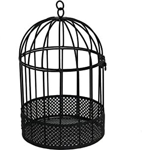 Birdcage with Mesh Planter Black Wall Metal Hanging Wire Planters Basket Metal Vases for Indoor Outdoor Garden Plants Succulents Faux Flowers Strawberry Herb (Black - Small MTBC16)
