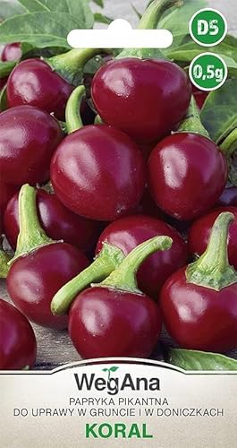 WegAna Paprika Koral Samen 0,5g Scharf Rot Mittelfrühe Kirschpaprika Robuste Gemüsesamen Gemüse Samen Anzucht Saatgut für Gewächshaus Freilandanbau Paprikasamen