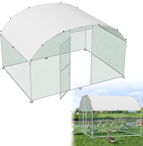 HENGMEI Pollaio 300 x 200 x 200 cm Recinto per esterni in acciaio galvanizzato per piccoli animali Gabbia per polli con tetto in polietilene Recinto esterno libero con serratura