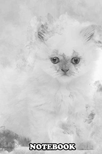 Notebook: British Longhair Kitten 5 Weeks Old Against White Backg , Journal for Writing, College Ruled Size 6 x 9, 110 Pages