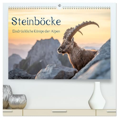 Steinböcke - Eindrückliche Könige der Alpen (hochwertiger Premium Wandkalender 2026 DIN A2 quer), Kunstdruck in Hochglanz: Stolze Steinböcke in den Schweizer Alpen (CALVENDO Tiere)