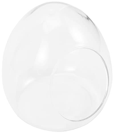 TOYANDONA Terrarium Verre Contenant Décoratif pour Plantes Et Paysage Bouteille Écologique pour Maison