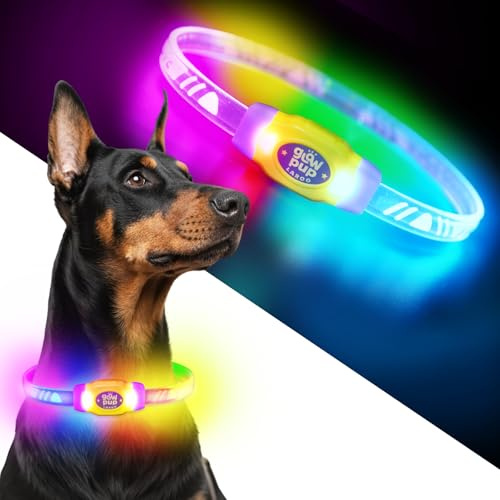 LaRoo LED Leuchthalsband Hunde Halsband USB Aufladbar - Wasserdichtes Hundehalsband Leuchtend mit 4 Beleuchtungsmodi, Längenverstellbareres LED Halsband für Kleine, Mittlere und Große Hunde (Lila)