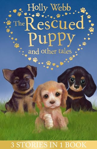 The Rescued Puppy and Other Tales: The Rescued Puppy, The Lost Puppy, The Secret Puppy (Holly Webb Animal Stories)