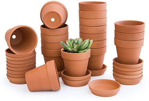 D'vine Dev 18 Stück Terrakotta-Töpfe mit Untersetzer, 7,6 cm, Terrakotta-Töpfe mit Tablett, Tontöpfe für Pflanzen & Sukkulenten, Terrakotta, 588-51-1