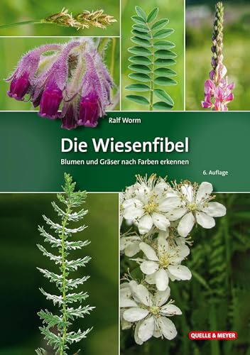 Die Wiesenfibel: Blumen und Gräser nach Farben erkennen