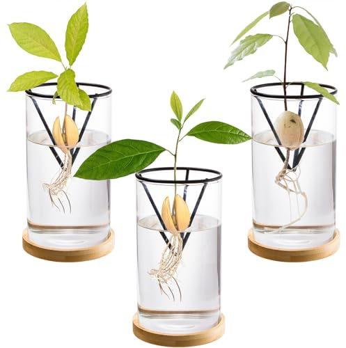 Lawei Avocado-Baum-Anzucht-Set, Glas-Avocado-Samen-Startervase mit Metall-Dreieck-Halterung und Bambus-Basis, Avocado-Grube, Sprossen-Pflanzgefäß, Glasflasche für Gartenliebhaber, Heimdekoration, 3