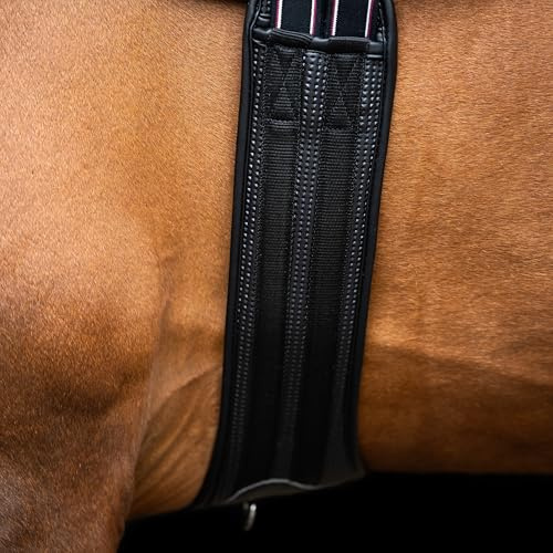 Imperial Riding Springgurt IRHBasic, anatomischer Stollengurt mit atmungsaktiver Polsterung und Bauchlatz, Schwarz, 135cm