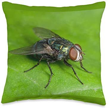 Macro insect fly picture for exterminator Throw Pillow, 16x16, Multicolor