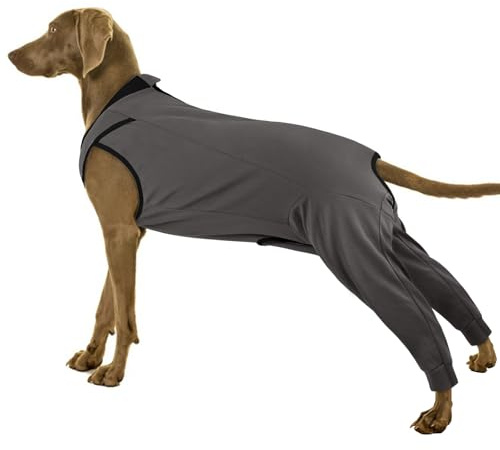 PUMYPOREITY Läckskydd hund bakben, hundbandage bakben hundar Op Body tik armbågsskydd bakben armbågsbandage läckageskydd (grå, 2XL)