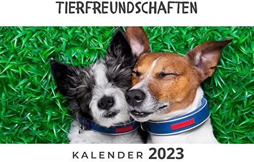 Tierfreundschaften: Kalender 2023