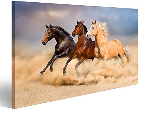 islandburner Bild auf Leinwand Pferdeherde Drei Pferde Gallopp Kinderzimmer Reiten Bilder Wandbilder Poster