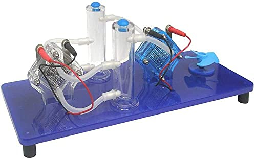 JKJZSALJ Demostrador Físico para Pilas De Combustible De Hidrógeno Y Oxígeno Equipo De Prueba De Producción De Energía con Electrolizador Y Pila De Combustible Reversible