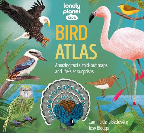 Bird Atlas - anglais: Amazing Facts & Fold Out Maps | Meet Eagles, Falcons, Ostriches, Penguins & More | Packed with Beautiful Illustrations & Diagrams