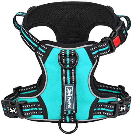 PoyPet No Pull Dog Harness with 3 Leash Clips and Vertical Handle