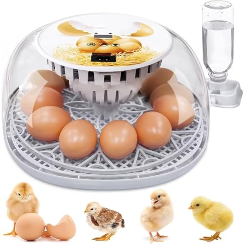 Eierbrüter für Bruteier, Kapazität von 12 Eiern, Automatisches Eierdrehen, Feuchtigkeitskontrolle & 360°-Ansicht, automatische Wasserzufuhr für Hühner, Enten, Gänse und Wachteln