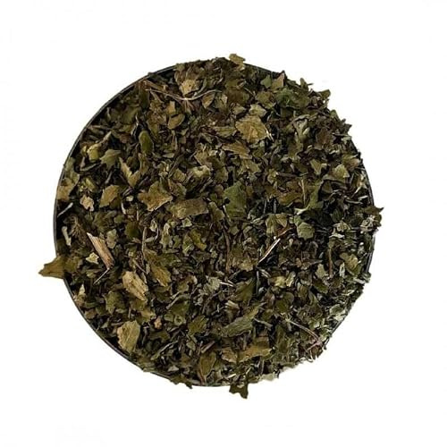 Tisane Fraisier 100g (Fragaria vesca) - Sachet de 100g (feuilles coupées)