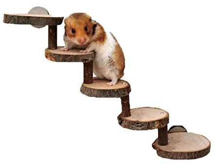 Lizaty Hamster Spielzeug aus Holz Hamster Holzleiter Hamster Kletterspielzeug 5-lagiges Leiter Treppen Plattform Brücken Sprungbrett Trainingsgerät for Hamsters, Mice, Gerbils, Squirrels, Guinea Pigs