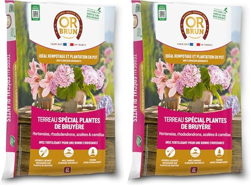 Or Brun Terreau Spécial Plantes De Bruyère - 6L - Meilleur Enracinement - Utilisable en Agriculture Biologique OBRTBRU6U (Lot de 2)