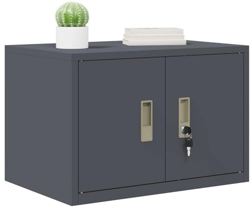 vidaXL Förvaringsskåp Antracit 60 x 40 x 40 cm Stål, Modern kontorsförvaringsskåp, låsbart stålskåp, hållbart möbel, flexibel fristående organiserare, rymlig