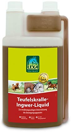 Teufelskralle-Ingwer-Liquid 1 l Flasche