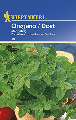 Kiepenkerl 592 Oregano/Dost Mehrjährig (Oreganosamen)