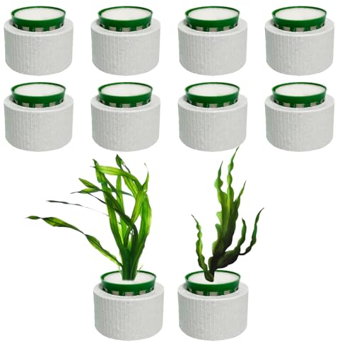 XiyaxiVici 10 Sets Anillos de cerámica para Acuario Planta Acuática de Cerámica Anillo Fijo para Acuario Paisaje Antiflotamiento Decoración de Acuarios
