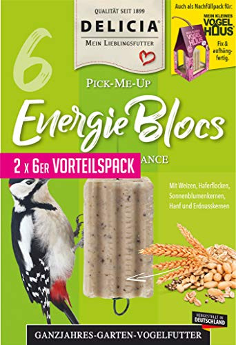 Frunol Delicia EnergieBloc, Größe L, 1er Pack (1 x 95 Grams)
