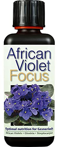 GT - Focus Range - House Plant, Rose, Geranium, Camellia & African Violet (African Violet - 300ml)