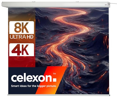 celexon Expert Motor-Leinwand 140 | 250x250 cm 1:1 | elektrische 8K, Full-HD Beamer-Leinwand für Ihre Heimkino- oder Büro-Präsentationen | zur Decken- & Wand-Montage | mit Fernbedienung