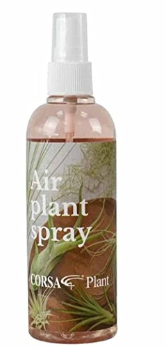 1 x Corsa Organic Tillandsia Air Plant Fertiliser 150ml in Spray Bottle - Food for Your House Plant or Succulent