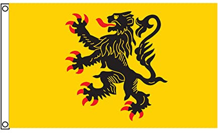 Stormflag Drapeau Nord-Pas-de-Calais 90x150cm Drapeau Flandre 3x5ft polyester 90g avec œillets et Double couture