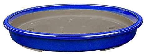 Vaso per bonsai Giapponese Morrisan ovale in gres smaltato blu 22x16x4 cm - B23-42c