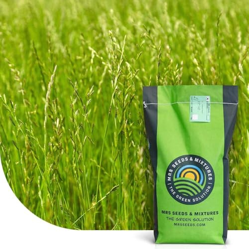 Deutsches Weidelgras - Lolium perenne | 2 kg für ca. 500 m² | Mehrjährig | Sehr schnelle Keimung | Hohe Ausdauer | Für alle Böden geeignet | Ideal zur Nachsaat von Rasenflächen