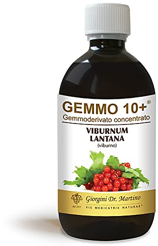 Dr Giorgini Integratore Alimentare, Viburno Gemmoderivato Concentrato Liquido Analcoolico - 500 ml