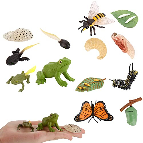 JOKFEICE 13 Stück Insektenspielzeug Lebenszyklus von Schmetterling, Honigbiene und Frosch, Action-Modell, Kunststoff-Käfer-Figuren, frühes pädagogisches Spielzeug, Wissenschaftsprojekt, Weihnachts
