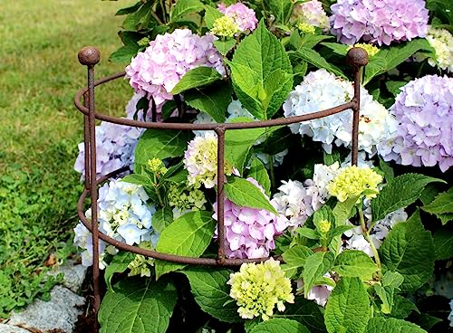 Staudenhalter Rankhilfe Bogen Zaunelement Metall Antik Design - 55x30 cm Gross (Rost Braun)