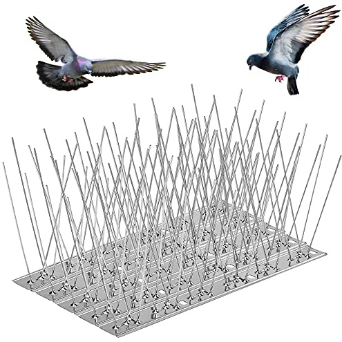 Rupeca Pack 20 Pinchos Antipaloma 6,6M - Ahuyentador Palomas - Material Acero Inoxidable Duradero (6,6)
