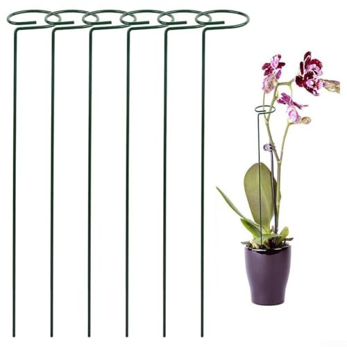 Estacas de plantas para trepar flores y verduras, incluyendo tomates, orquídeas, amarilis, rosas, lirios y árboles jóvenes en el espacio del jardín (25)