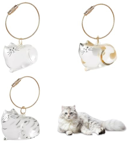 GONZTEL 3 pièces Poil de Chat Porte Clef, Boîte de Rangement en Acrylique Transparent pour Poils d'Animaux, Porte-clés en Poils d'animauxm, Médaillon Souvenir pour Animaux