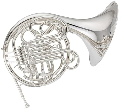 Doppeltes Waldhorn Waldhorn BF Zweireihiges Blechblasinstrument Mit Vier Klappen Und Box