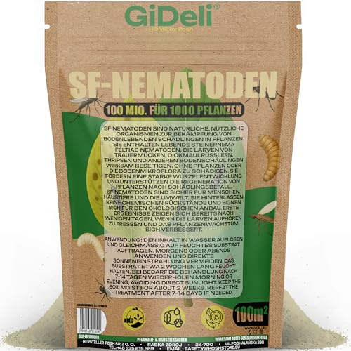 GiDeli SF Nematoden gegen Trauermücken 100 Mio, 1000 Pflanzen / 100 m² | Nützlinge zum Gießen gegen Trauermücken und Thripse - für 1000 Pflanzen, gärtnerische Nutzung