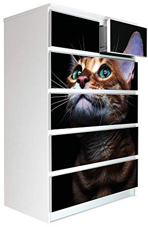 banjado® Möbelfolie selbstklebend für die IKEA Malm Kommode 6 Schubladen - Schrankfolien selbstklebend mit Motiv Esmeralda/Möbelfolie Malm für Kinder
