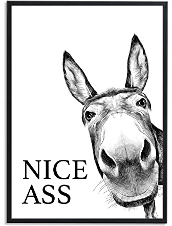 1M® Poster - Badezimmer Deko Bilder - stilvoller Kunstdruck - schwarz weiß Wandbilder - WC Deko - DIN A4 Esel