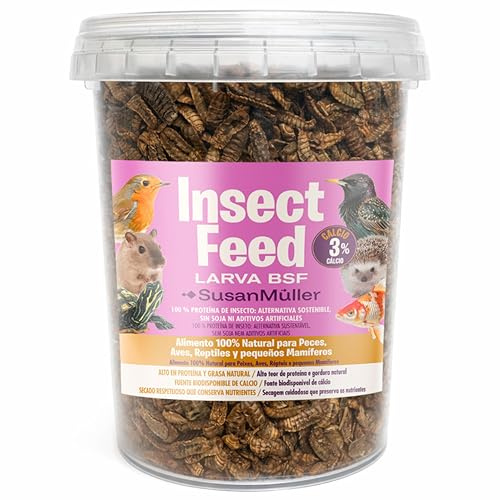 Susan Müller Larvas de Mosca Soldado Negra Deshidratadas - Proteína Natural para Reptiles, Aves y Peces, Alta Densidad Nutricional, Sin Aditivos, Envase Reciclable - Bote 150 g