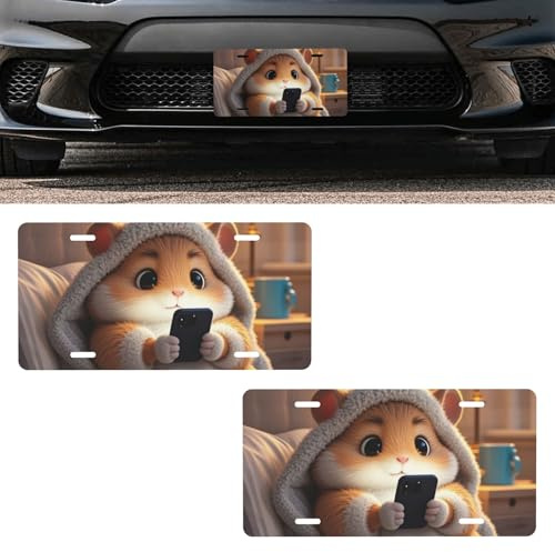RUIPUOWNO Matrícula Delantera, Fundas para matrícula de Coche con Dibujos Animados, Matrícula de Aluminio para Coche, Matrícula Decorativa Divertida para Coche, Personalizado,Hamsters,12x6In