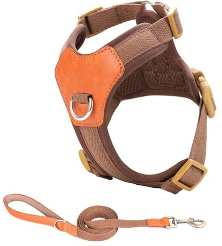 Hundegeschirr für kleine Hunde, ohne Ziehen, mit Leine, verstellbarer Clip, bequemer und sicherer Clip, Welpengeschirr